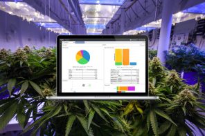 Regrow Looks to Streamline Operations and Optimize Cultivation Businesses Using Technology